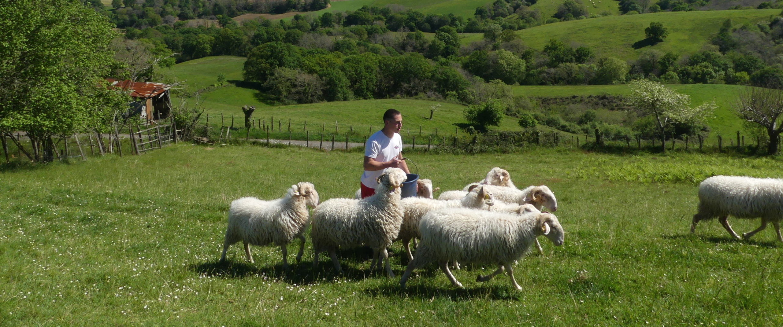 Alexandre Yaourt Ekia