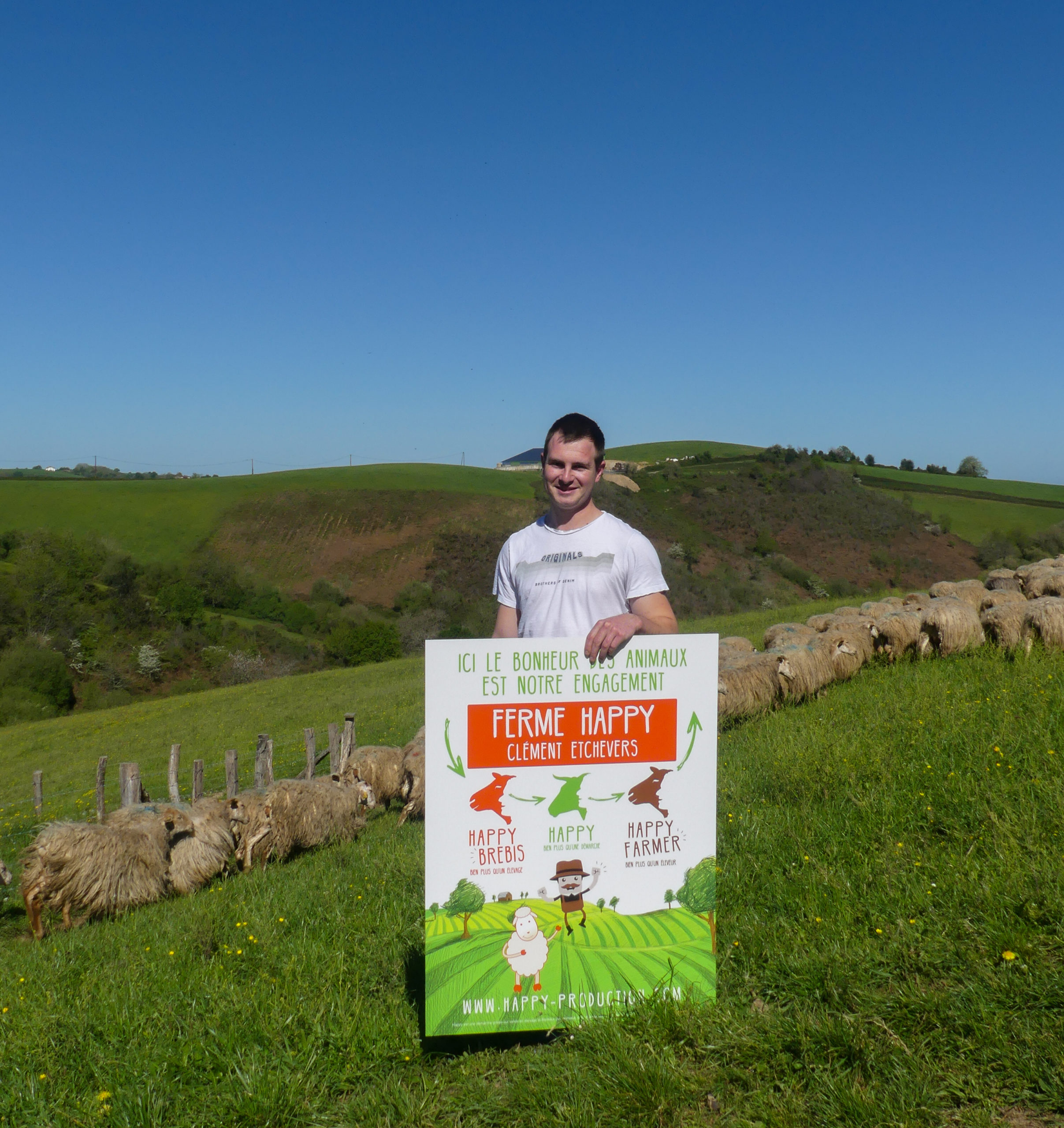 Cl ment Labellis Happy Sheep Yaourt Ekia